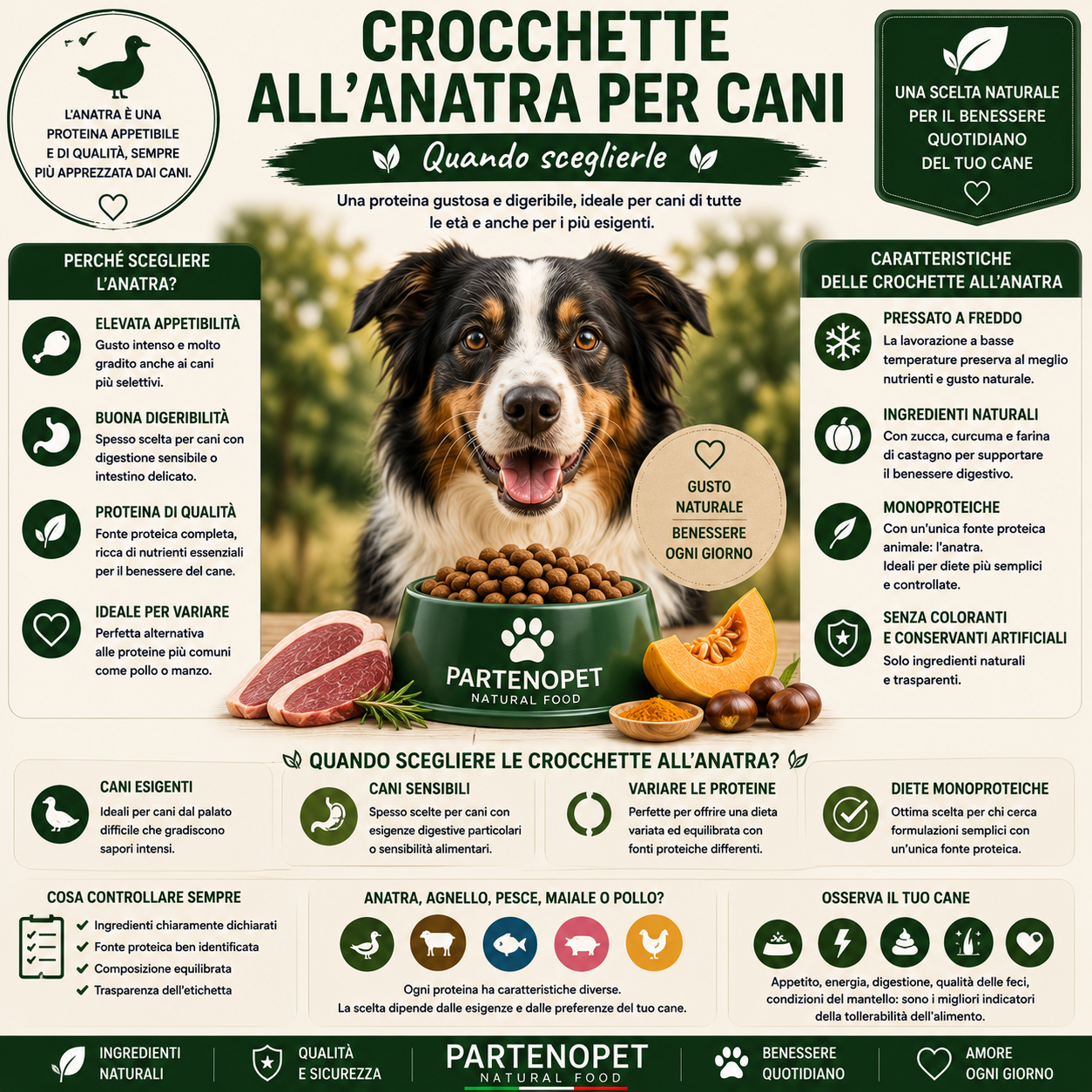 Crocchette all'Anatra per Cani: Quando Sceglierle