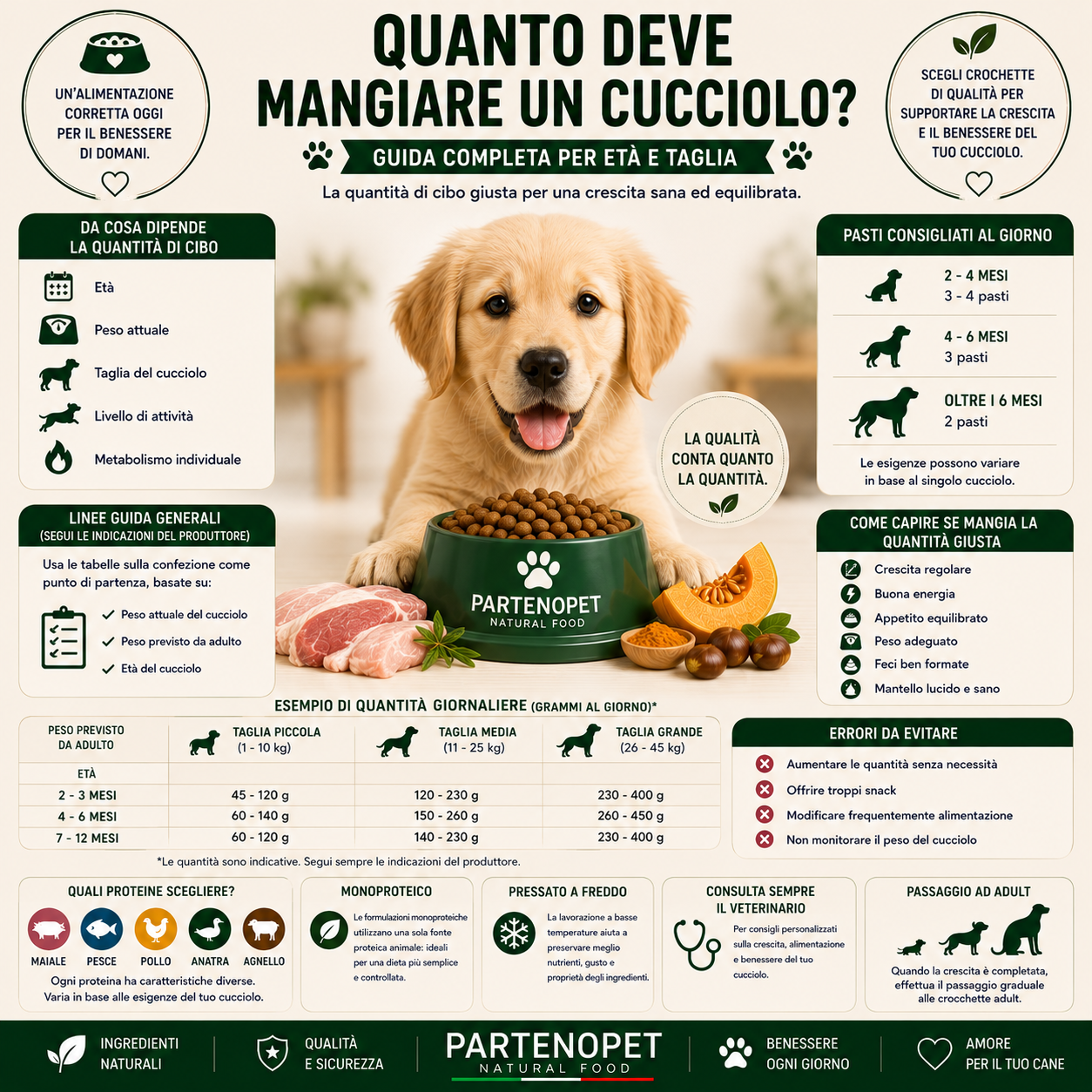 Quanto Deve Mangiare un Cucciolo? Guida per Età e Taglia