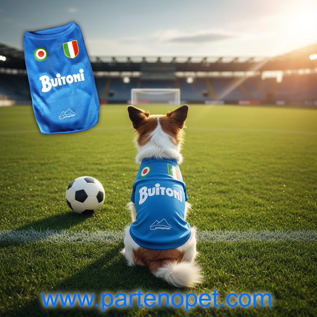 Maglietta Napoli Buitoni per Cani | Replica Napoli per Cani Tifosi (5 Taglie) - Partenopet