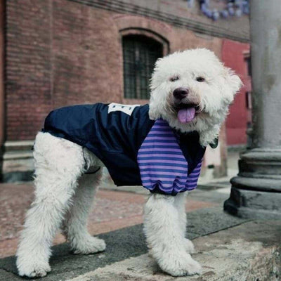 Impermeabile leggero con cappuccio per cani Camon Flora