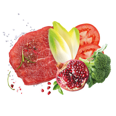 Busta di crocchette per cani cuccioli di taglia grande al tonno Exclusion da 12 kg