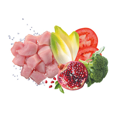 Busta di crocchette per cani adulti medium light al pollo Exclusion da 3 kg