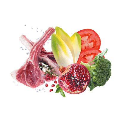 Exclusión Noble Grain Cordero Adulto Raza Mediana Croquetas Monoproteicas para perros 12 kg