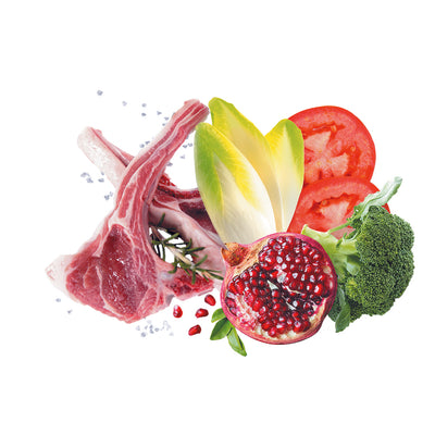 Busta di crocchette per cani adulti di taglia media all'agnello Exclusion da 3 kg