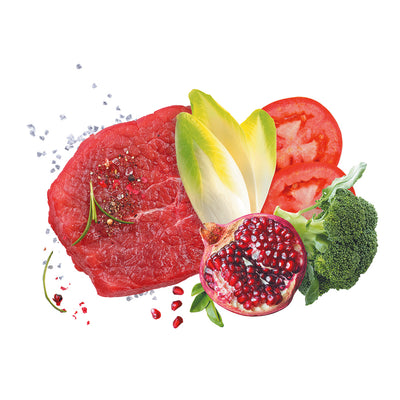 Busta di crocchette per cani adulti al manzo Exclusion da 12 kg