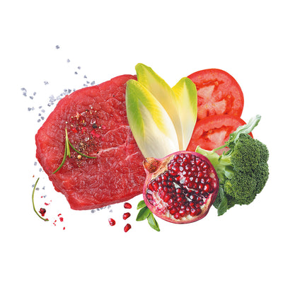 Busta di crocchette per cani adulti al manzo Exclusion da 3 kg