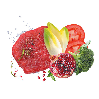 Busta di crocchette per cani cuccioli di taglia media al manzo Exclusion da 12 kg