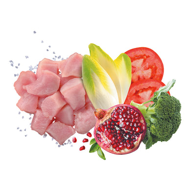 Busta di crocchette per cani cuccioli di tagli media Exclusion da 12 kg