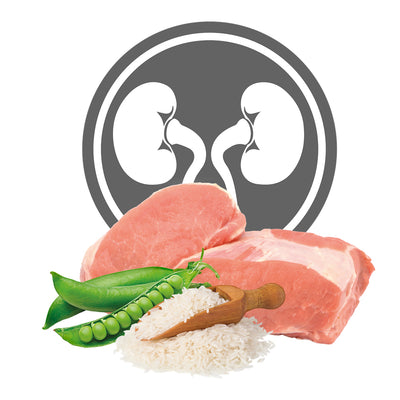 Exclusion Renal Phase I Gatti Alimento per Gatti con Insufficienza Renale 85 g