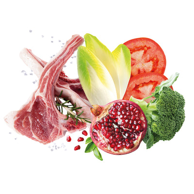 Scatoletta di alimento umido per cani con agnello Exclusion da 400 g