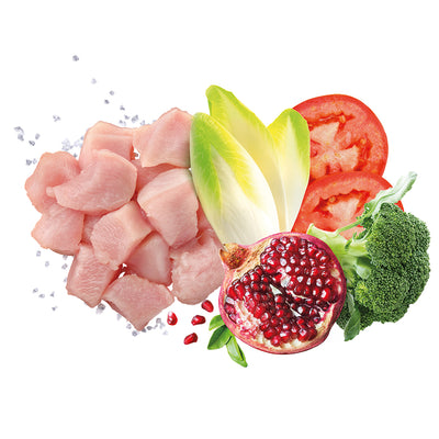 Scatoletta di alimento umido per cani adulti al pollo Exclusion da 400 g