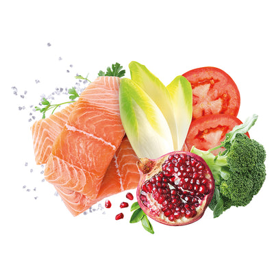 Scatoletta cibo umido per cani al salmone Exclusion da 400 g