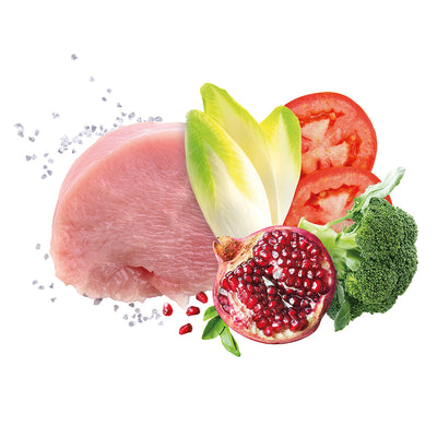 Exclusion Adult Turkey All Breeds Wet Food for Adult Dogs 400g