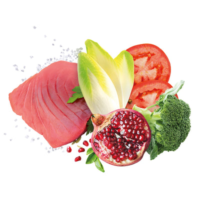 Scatoletta di alimento umido per cani al manzo Exclusion 400 g