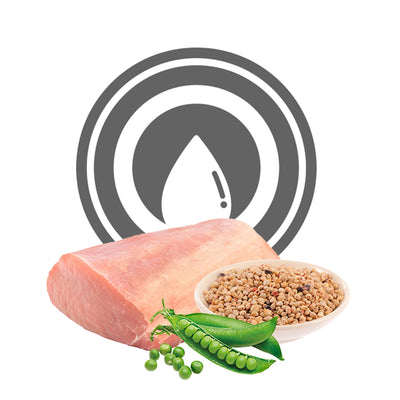 Scatoletta di cibo umido per cani diabetici al maiale e piselli Exclusion da 400 g