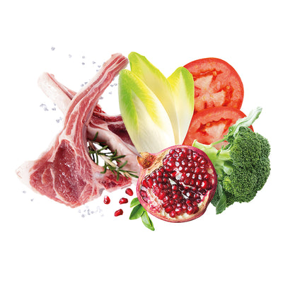 Busta di crocchette per cani di taglia grande all'agnello Exclusion da 12 kg