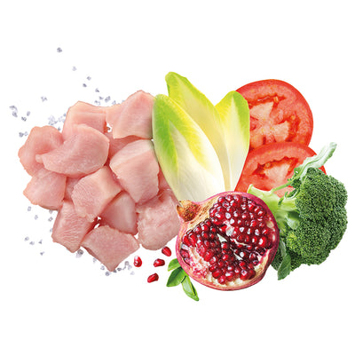 Busta di crocchette per cani anziani di taglia media e grande al pollo Exclusion da 12 kg