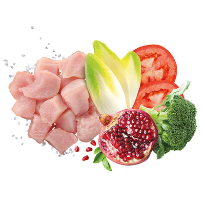 Busta di alimento secco per cani cuccioli di taglia grande al pollo Exclusion da 12 kg