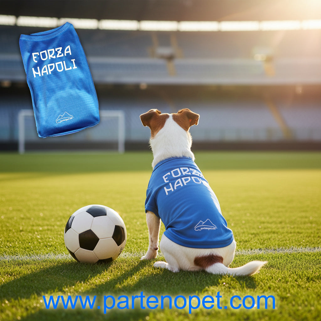 Maglietta Forza Napoli per Cani | Replica Napoli per Cani Veri Tifosi (5 Taglie) - Partenopet