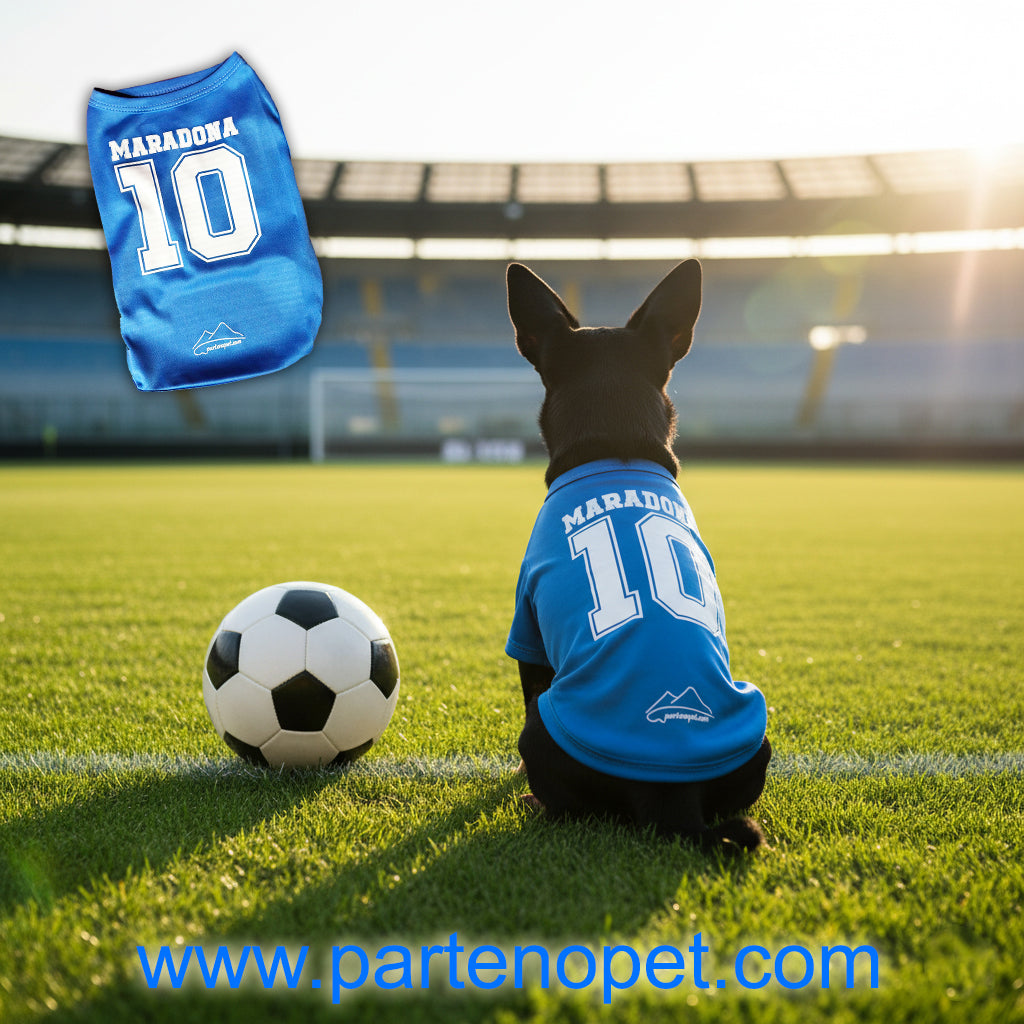 Maglietta Napoli Maradona per Cani | Replica Napoli per Cani Tifosi (5 Taglie) - Partenopet