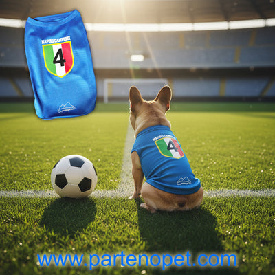 Camiseta para perro del 4.º Scudetto del Napoli: celebra a los campeones con tu fiel aficionado