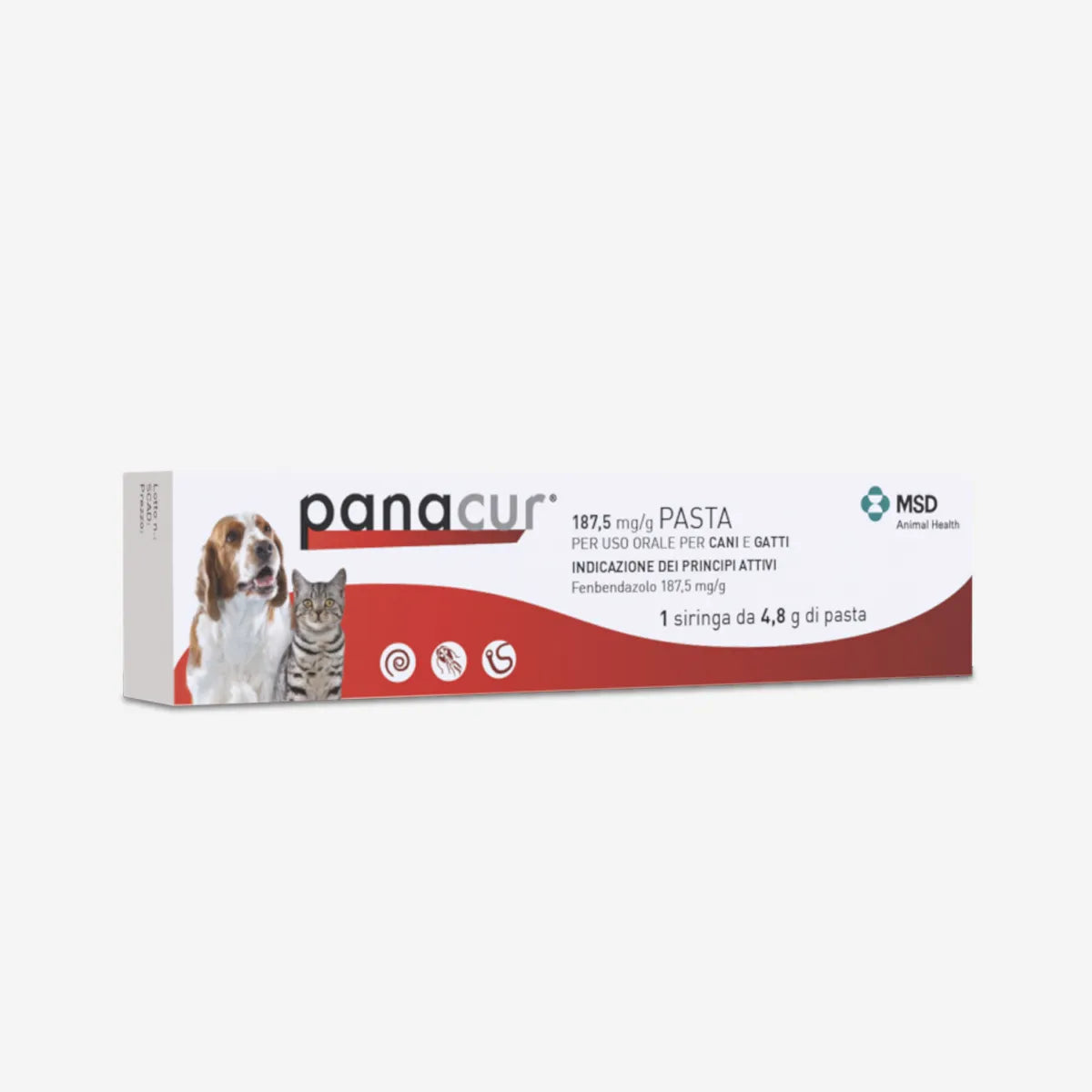 Siringa di pasta vermifugo per cani e gatti Panacur MSD