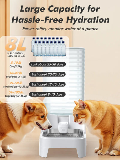 Furpipi Dispenser Acqua Automatico 8L per Cani e Gatti con Filtro e Vaschetta Inox