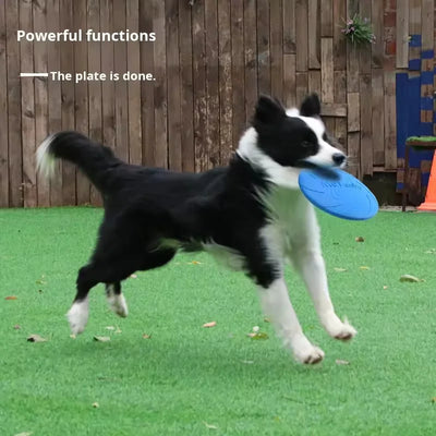 Frisbee per Cani Resistente e Galleggiante | Gioco 2-in-1 Ciotola - Partenopet
