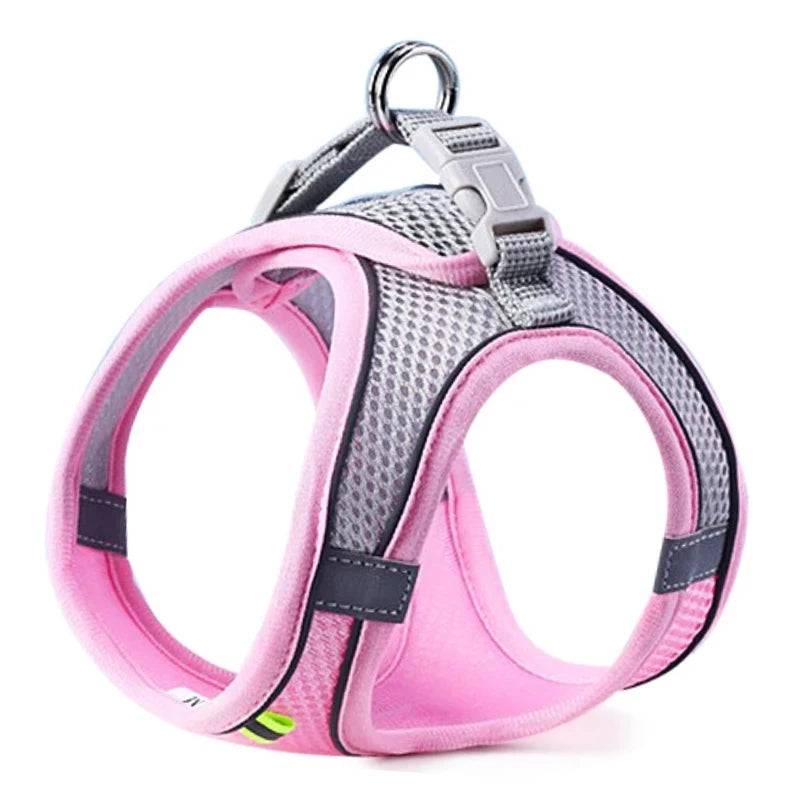 Pettorina Regolabile per Cani e Gatti con Guinzaglio | Set Harness Vest Traspirante Riflettente