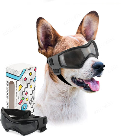 Occhiali Protettivi per Cani con Lenti UV, Antivento e Antipolvere | Taglie S-M