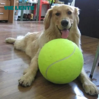Palla da Tennis Gigante per Cani 18/20,5/24 cm – Gioco Resistente per Cani di Taglia Media e Grande - dettaglio 2