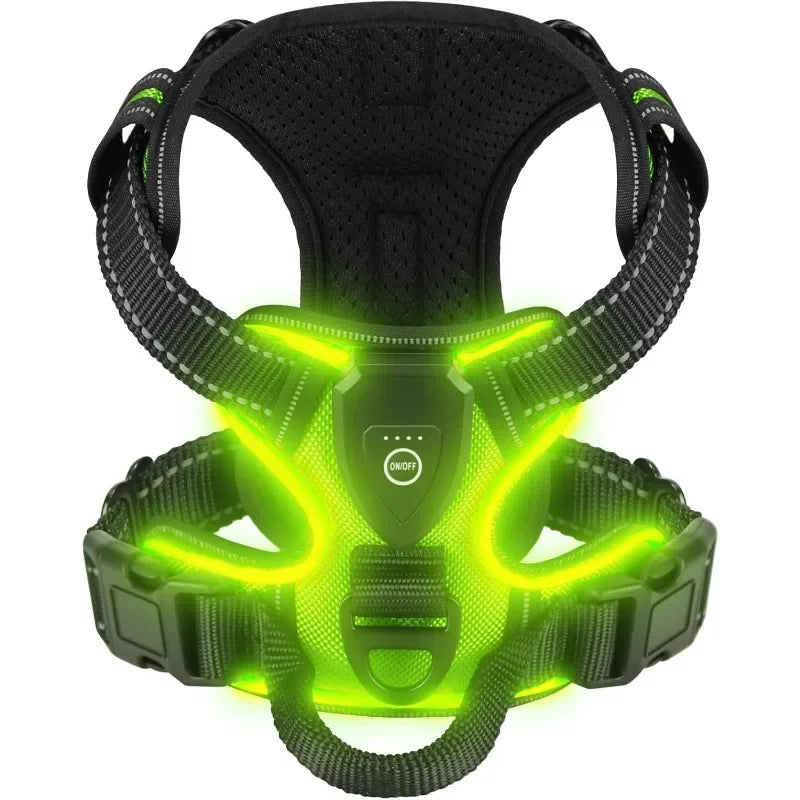 Pettorina per Cani con Led Ricaricabile – Imbracatura Luminosa Riflettente e Traspirante per Passeggiate Notturne Sicure - Partenopet