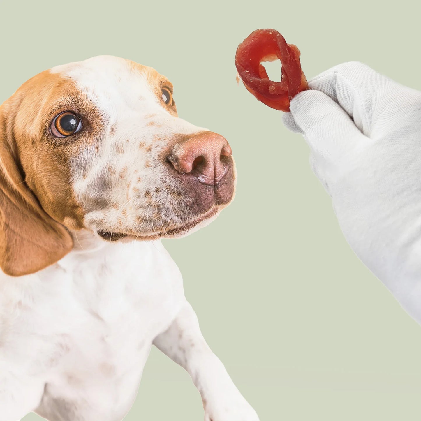 Anelli Snack con Manzo per Cani MERSJO 500 g – Premio e Ricompensa