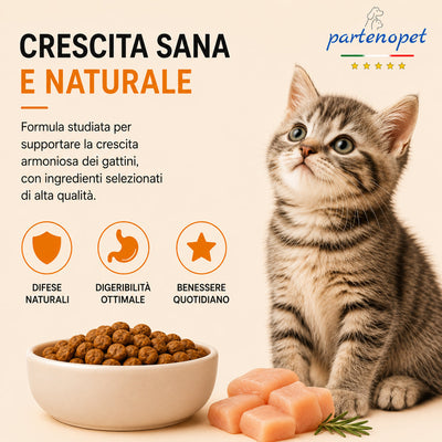 Busta di crocchette al pollo per gatti cuccioli pressate a freddo senza conservanti e coloranti marca Partenopet da 1,5 kg
