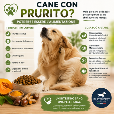 Cane con Prurito