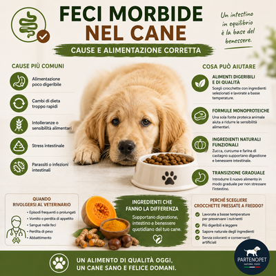 Feci Morbide nel Cane