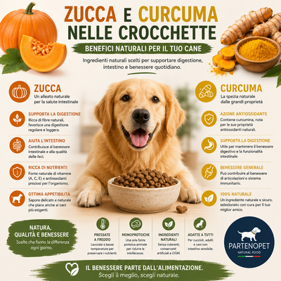 Benefici di Zucca e Curcuma nelle Crocchette per Cani