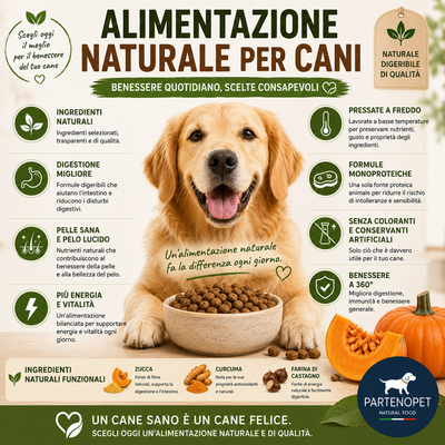 Alimentazione Naturale per Cani: Benefici Reali