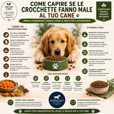 Come Capire se le Crocchette Fanno Male al Cane