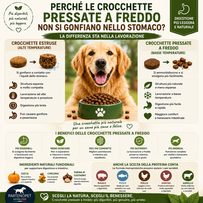 Perché le Crocchette Pressate a Freddo Non Si Gonfiano nello Stomaco