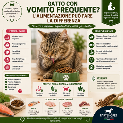 Gatto con Vomito Frequente