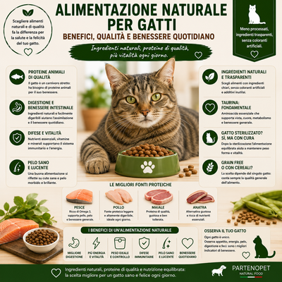 Alimentazione naturale per gatti