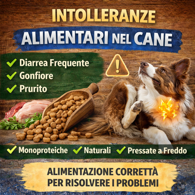Intolleranze alimentari nel cane