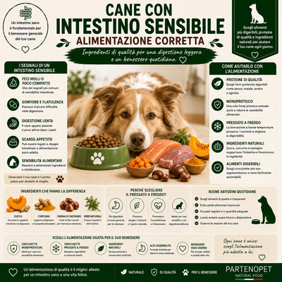 Cane con Intestino Sensibile