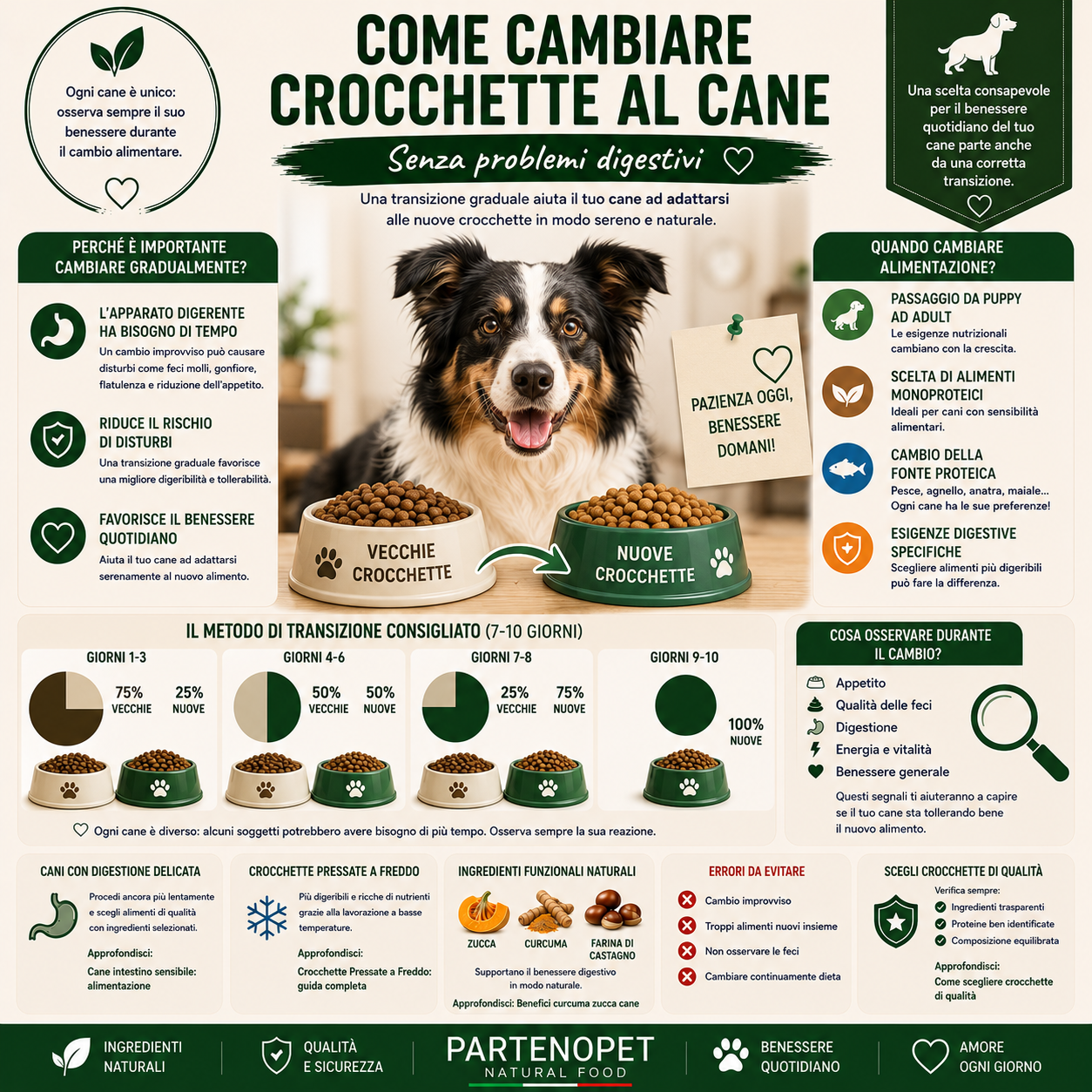 Come Cambiare Crocchette al Cane Senza Problemi Digestivi