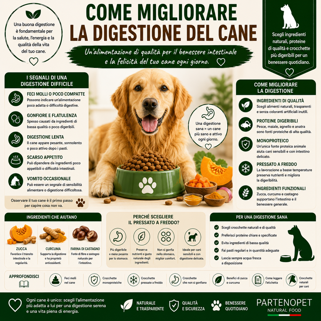 Come Migliorare la Digestione del Cane