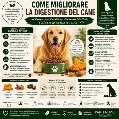 Come Migliorare la Digestione del Cane