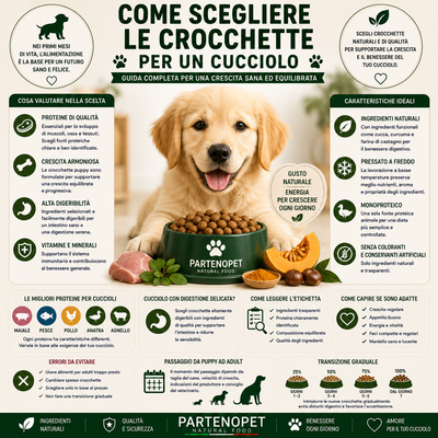 Come Scegliere le Crocchette per un Cucciolo