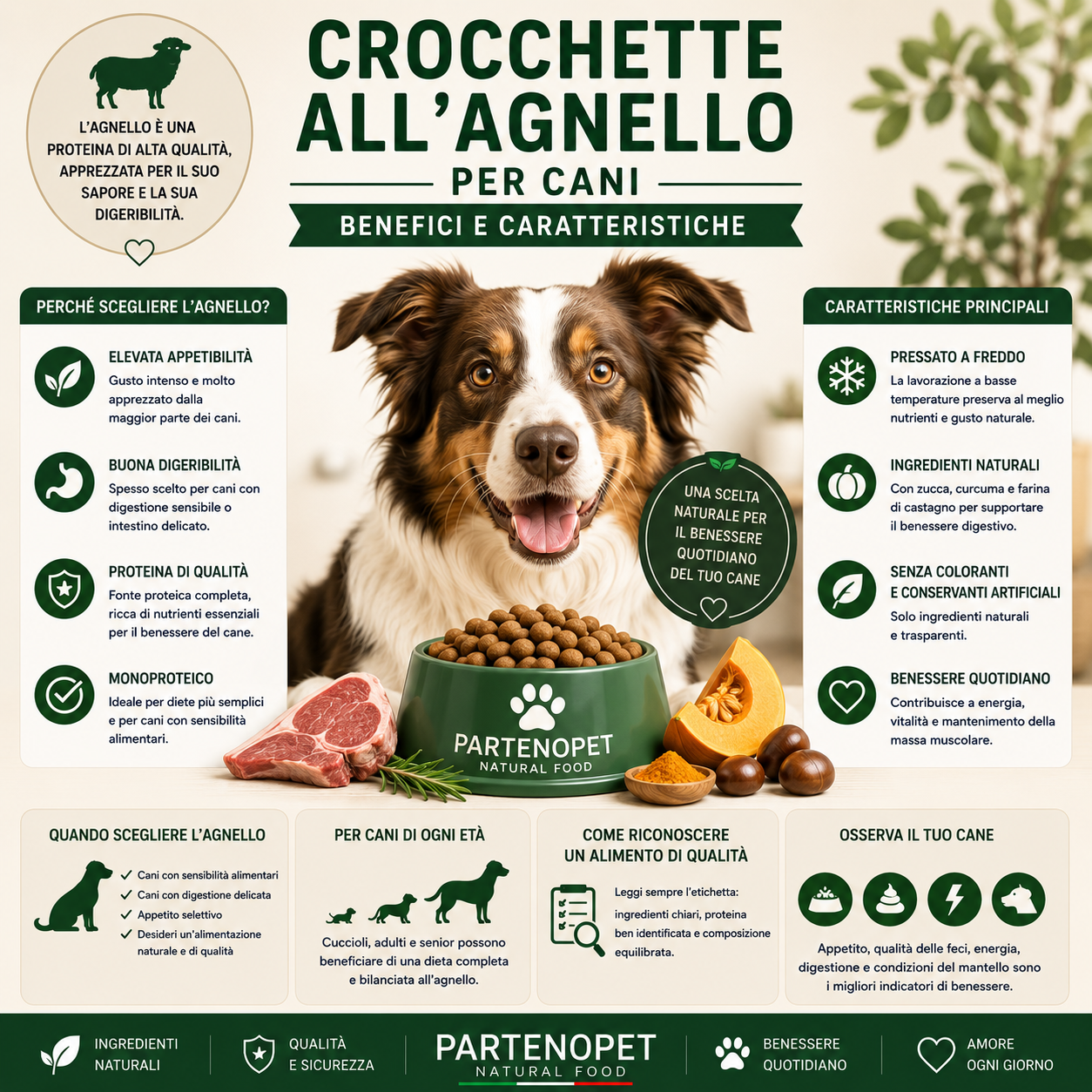 Crocchette all'Agnello per Cani: Benefici e Caratteristiche