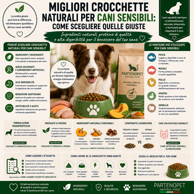 Migliori Crocchette Naturali per Cani Sensibili: Come Scegliere Quelle Giuste